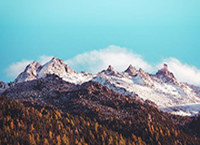 开云官方网站-开云：引领奢侈品新时代的力量