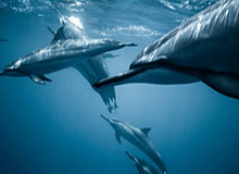 开云官方网站-冬残奥会轮椅冰壶混双循环赛：中国队胜意大利队